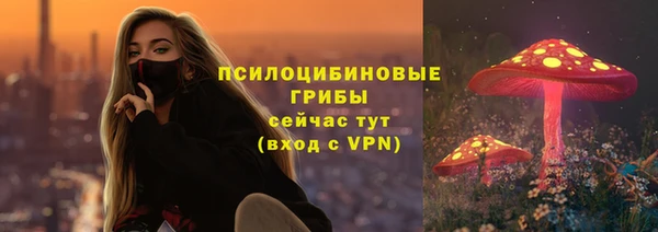 мескалин Дмитриев
