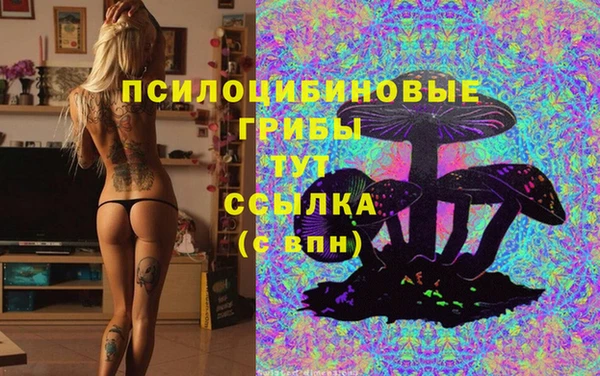 мескалин Дмитриев