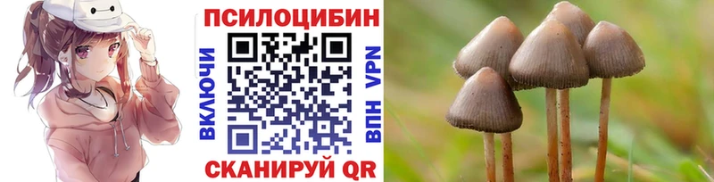 Псилоцибиновые грибы ЛСД  Плёс 